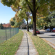 Illustration for article titled Pics from the Curbside: 2018-10-14 to Kitsilano Secondary School